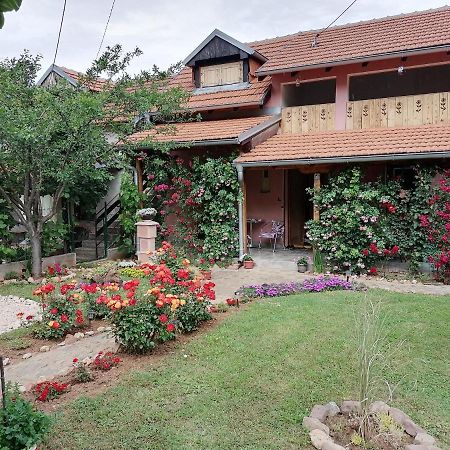 Apartman Mika Soko Banja Exteriér fotografie